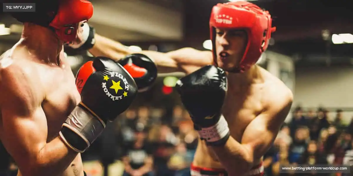 我们的品牌价值